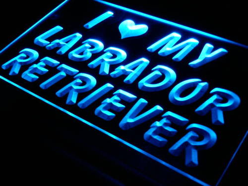I Love My Labrador Retriever Neon Light Sign